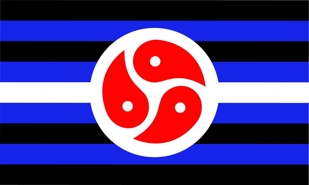 BDSM flag